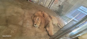 天王寺動物園に投稿された画像（2025/7/24）