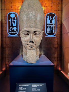 ACN ラムセス大王展 ファラオたちの黄金に投稿された画像（2025/7/24）