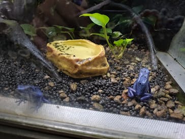 カワスイ 川崎⽔族館に投稿された画像（2025/7/24）