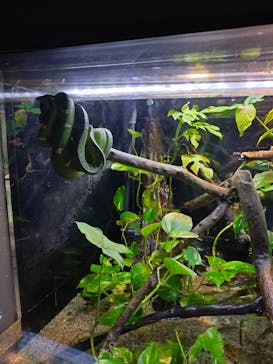 カワスイ 川崎⽔族館に投稿された画像（2025/7/24）