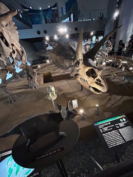 福井県立恐竜博物館に投稿された画像（2025/7/24）