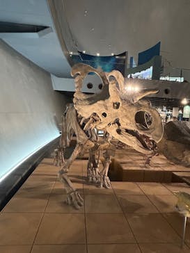 福井県立恐竜博物館に投稿された画像（2025/7/24）