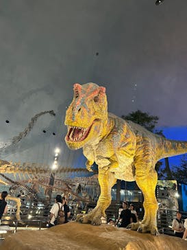 福井県立恐竜博物館に投稿された画像（2025/7/24）