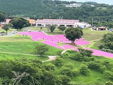 マザー牧場に投稿された画像（2025/7/24）