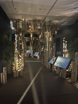 HOKUSAI : ANOTHER STORY in TOKYOに投稿された画像（2025/7/24）