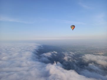 ウイニングバルーンクラブに投稿された画像（2025/7/24）