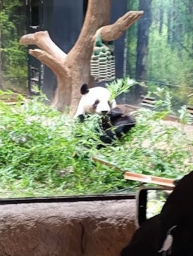 恩賜上野動物園に投稿された画像（2025/7/24）