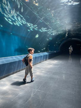 マクセル アクアパーク品川に投稿された画像（2025/7/24）