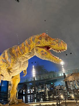 福井県立恐竜博物館に投稿された画像（2025/7/24）