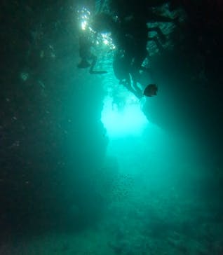 武藤潜水に投稿された画像（2025/7/24）