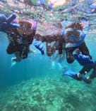 沖縄ダイビングショップシーモールに投稿された画像（2025/7/24）