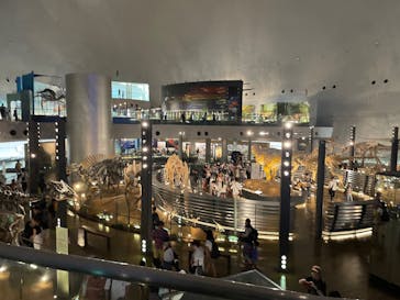 福井県立恐竜博物館に投稿された画像（2025/7/24）