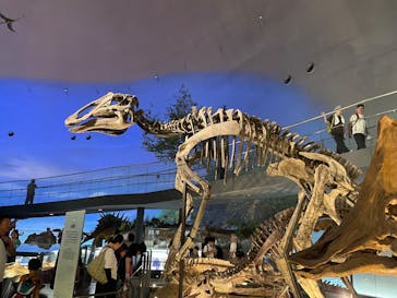 福井県立恐竜博物館に投稿された画像（2025/7/24）
