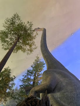 福井県立恐竜博物館に投稿された画像（2025/7/24）