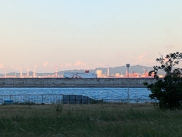 Sand SPA（別府海浜砂湯）に投稿された画像（2025/7/24）