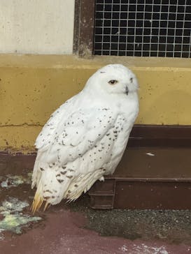 掛川花鳥園に投稿された画像（2025/7/24）