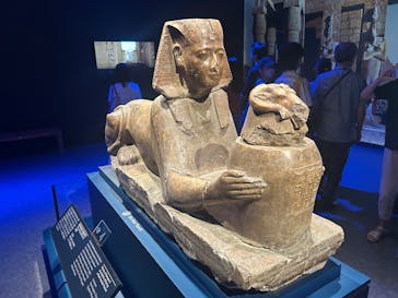 ACN ラムセス大王展 ファラオたちの黄金に投稿された画像（2025/7/24）