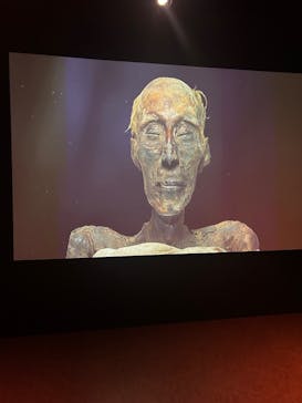 ACN ラムセス大王展 ファラオたちの黄金に投稿された画像（2025/7/24）