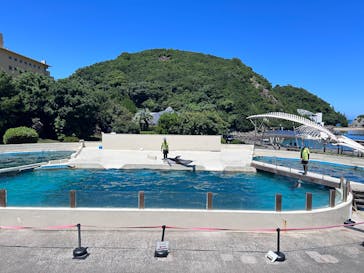 太地町立くじらの博物館に投稿された画像（2025/7/24）