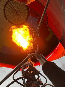 レジャーガイド遊び屋に投稿された画像（2025/7/24）