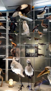 国立科学博物館に投稿された画像（2025/7/24）