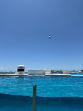 鴨川シーワールドに投稿された画像（2025/7/24）