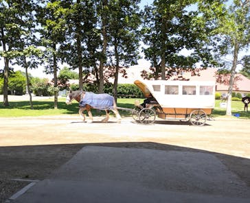 ノーザンホースパークに投稿された画像（2025/7/24）