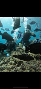 武藤潜水に投稿された画像（2025/7/24）