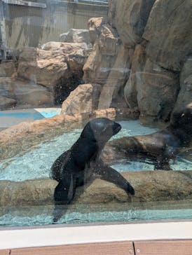 サンシャイン水族館に投稿された画像（2025/7/25）