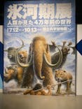 特別展「氷河期展 〜人類が見た4万年前の世界〜」（国立科学博物館）に投稿された画像（2025/7/25）