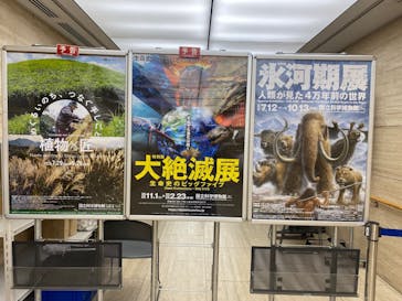 特別展「氷河期展 〜人類が見た4万年前の世界〜」（国立科学博物館）に投稿された画像（2025/7/25）