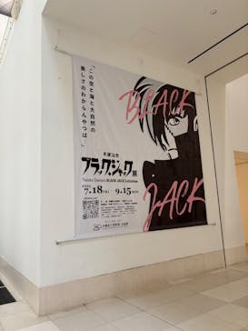 沖縄県立博物館・美術館〔おきみゅー〕に投稿された画像（2025/7/25）