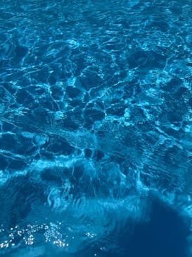 しらこばと水上公園（埼玉県公園緑地協会）に投稿された画像（2025/7/25）