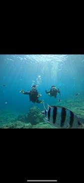 武藤潜水に投稿された画像（2025/7/25）