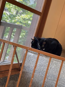 おさるの湯もみ処　おさ湯に投稿された画像（2025/7/25）