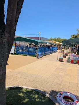 ウォーターパークデカパトスに投稿された画像（2025/7/25）