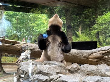 恩賜上野動物園に投稿された画像（2025/7/25）