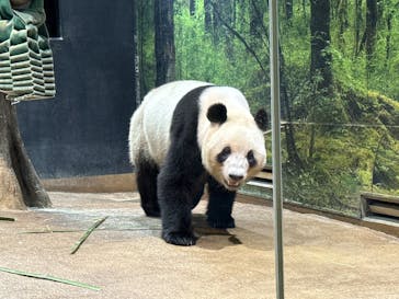 恩賜上野動物園に投稿された画像（2025/7/25）
