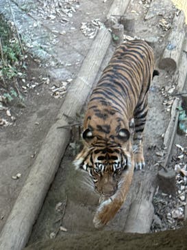 恩賜上野動物園に投稿された画像（2025/7/25）