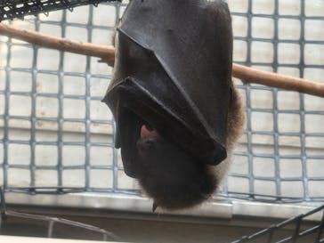 恩賜上野動物園に投稿された画像（2025/7/25）