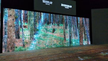 クリムト・アライブに投稿された画像（2025/7/25）