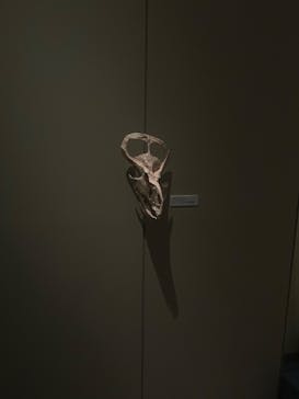 国立科学博物館に投稿された画像（2025/7/25）