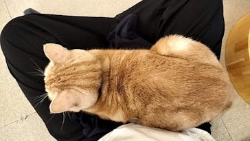 Moff アニマル カフェ イーアス 高尾店に投稿された画像（2025/7/25）