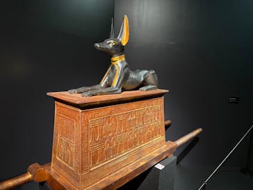 MYSTERY OF TUTANKHAMEN 体感型古代エジプト展に投稿された画像（2025/7/25）