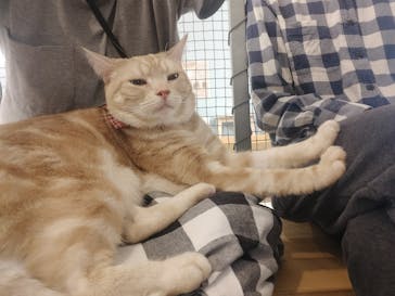 Moff アニマル カフェ イーアス 高尾店に投稿された画像（2025/7/25）