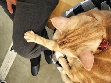 Moff アニマル カフェ イーアス 高尾店に投稿された画像（2025/7/25）