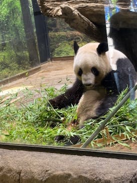 恩賜上野動物園に投稿された画像（2025/7/25）