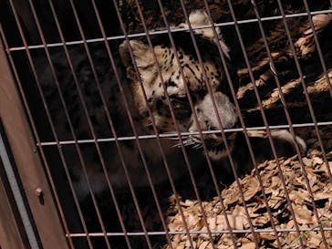 名古屋市東山動植物園に投稿された画像（2025/7/25）