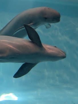 マリンワールド海の中道に投稿された画像（2025/7/25）