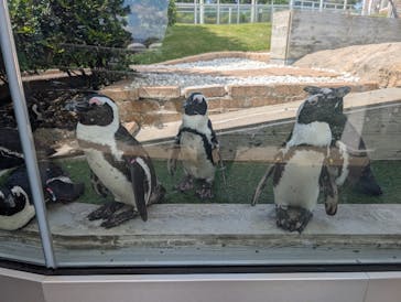 マリンワールド海の中道に投稿された画像（2025/7/25）